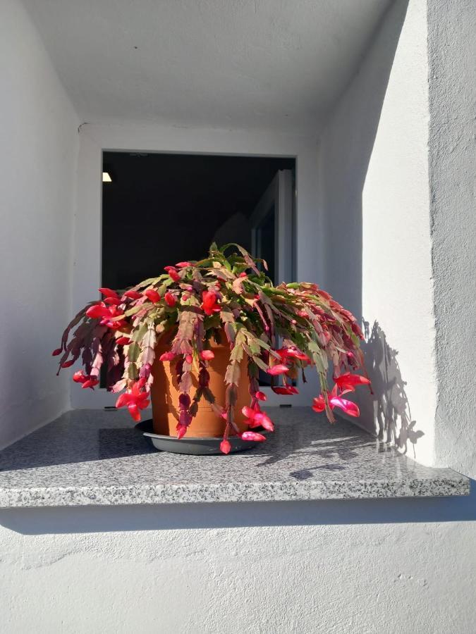 Apartamento De La Haya, Junto Al Teatro Romano Apartment Merida Exterior foto